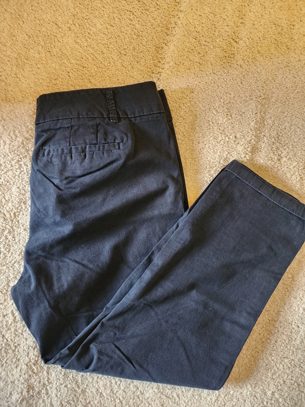 Loft Woman Black 10P Skinny Crop Dress Pants